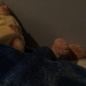 Meet your Posher, Priscilla